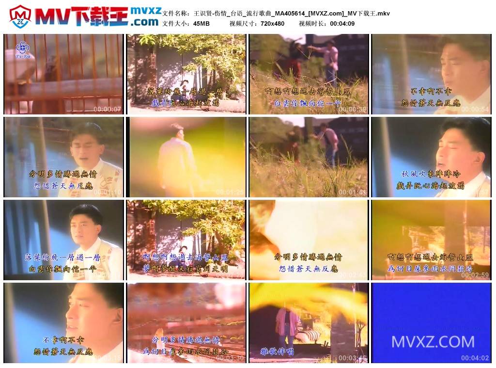 王识贤-伤情_台语_流行歌曲_MA405614